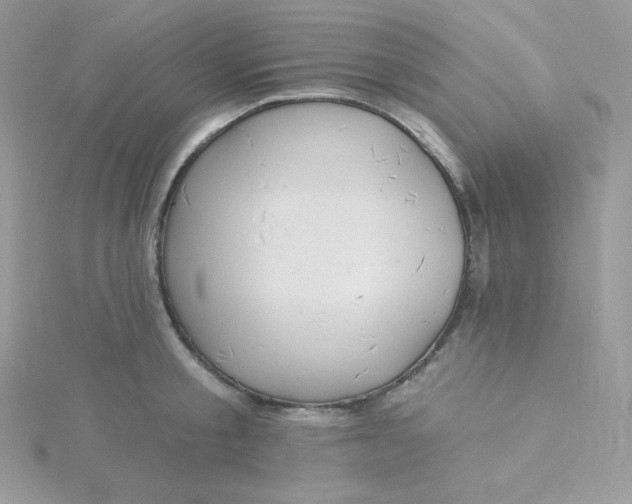 X0000115830805200911271158