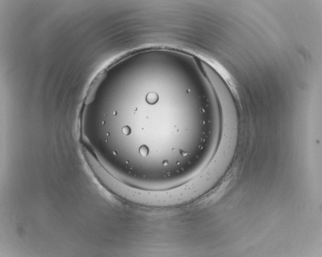 X0000115830807200911271158