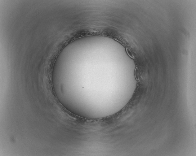 X0000115830817200911271157