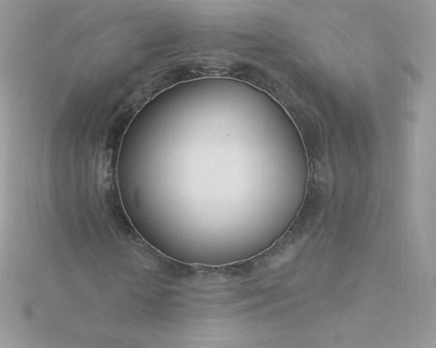 X0000115830818200911271157