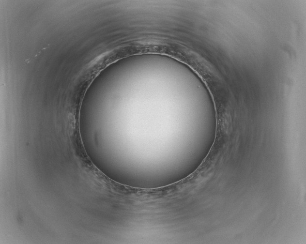 X0000115830821200911271157