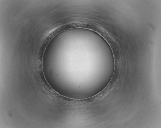 X0000115830822200911271157