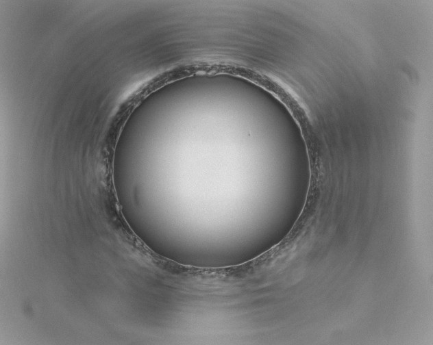 X0000115830823200911271157