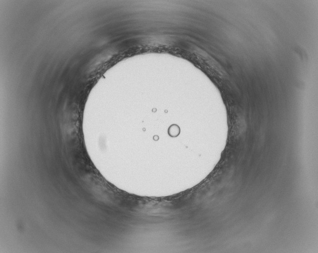 X0000115830824200911271157