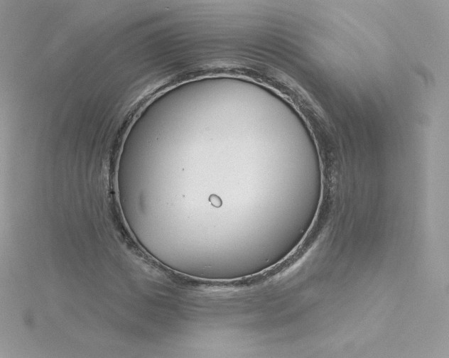 X0000115830825200911271157