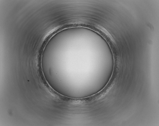 X0000115830826200911271157