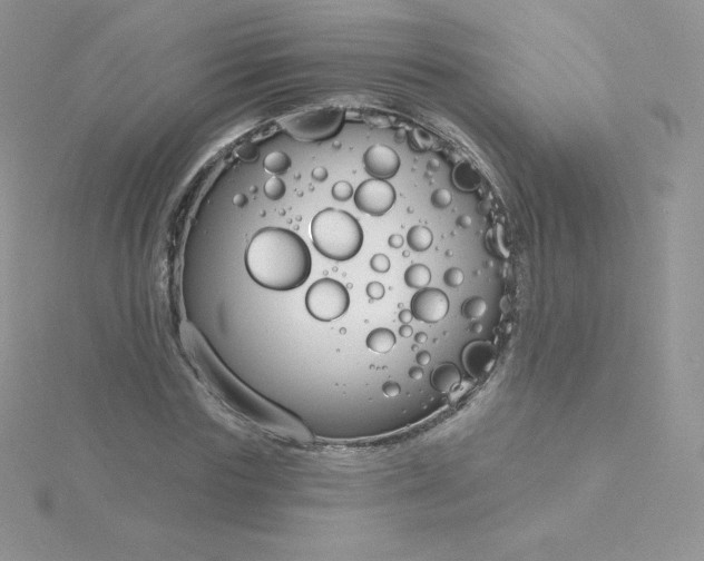 X0000115830827200911271157