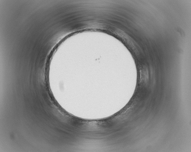 X0000115830828200911271157