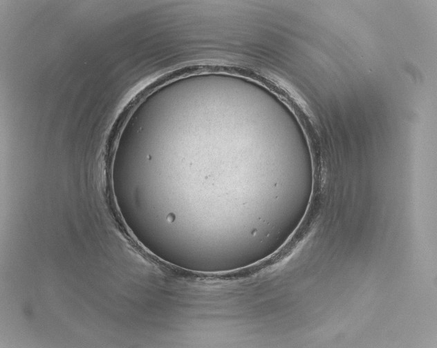 X0000115830829200911271157