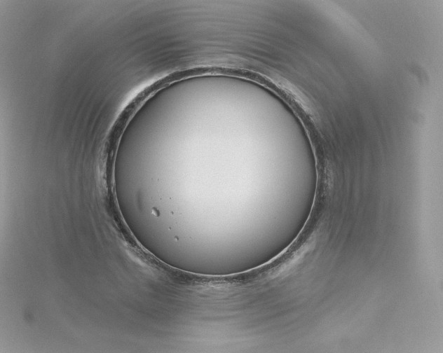 X0000115830830200911271157