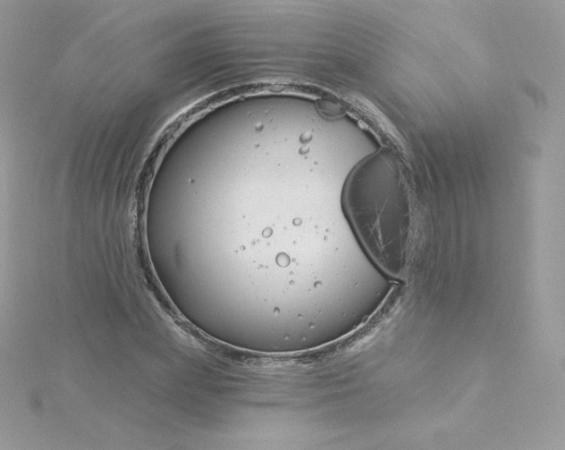 X0000115830831200911271157