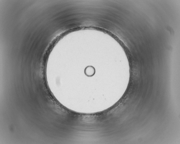 X0000115830832200911271157