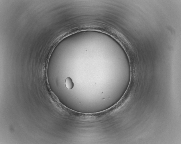 X0000115830833200911271157