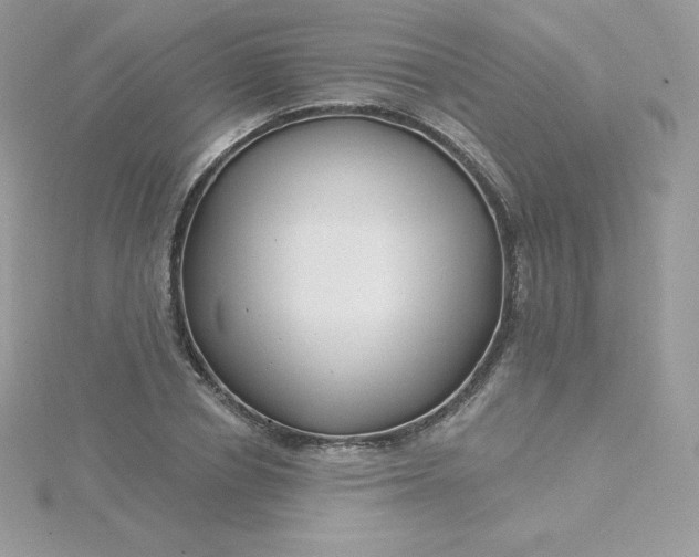 X0000115830834200911271157