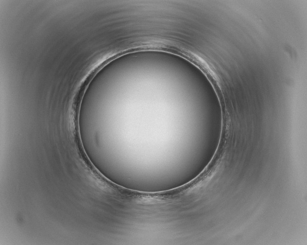 X0000115830835200911271157