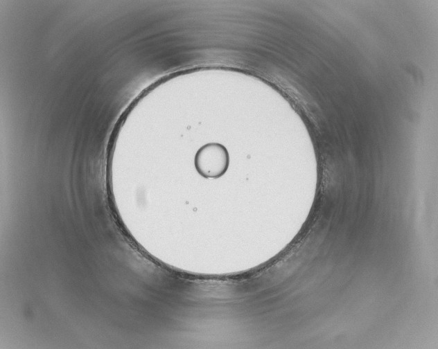 X0000115830836200911271157