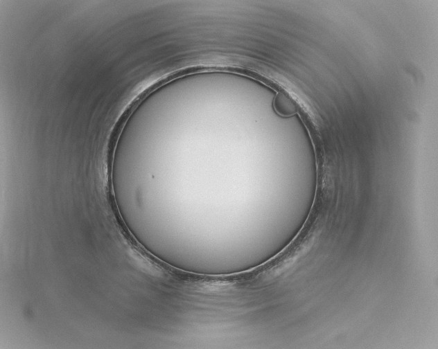 X0000115830837200911271157