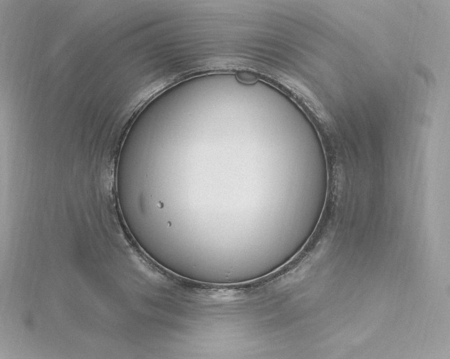 X0000115830841200911271158