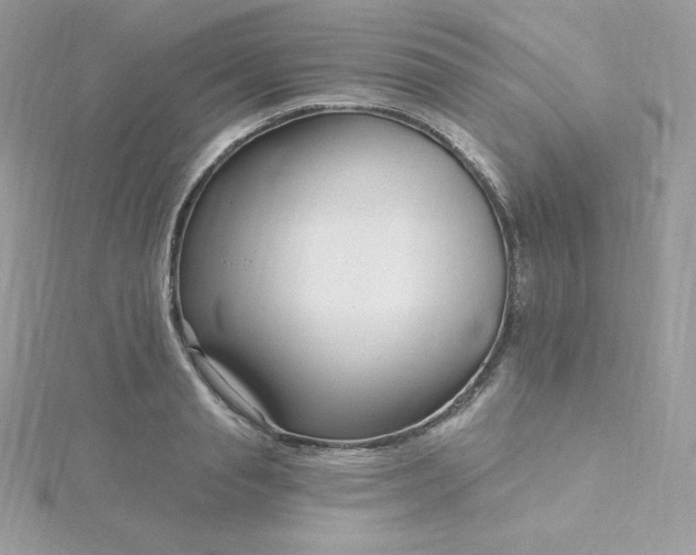 X0000115830845200911271158