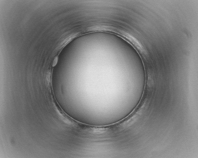 X0000115830849200911271158