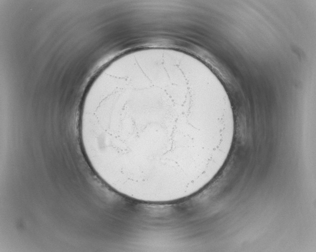 X0000115830856200911271158