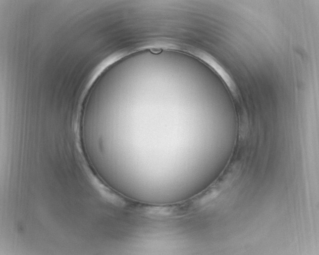 X0000115830861200911271158