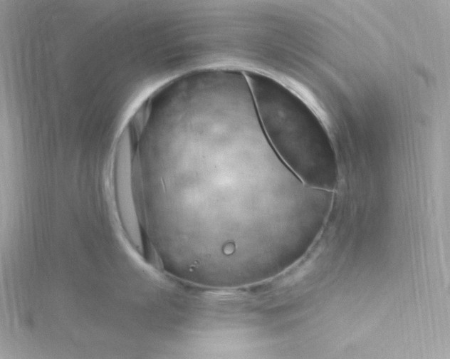 X0000115830863200911271158