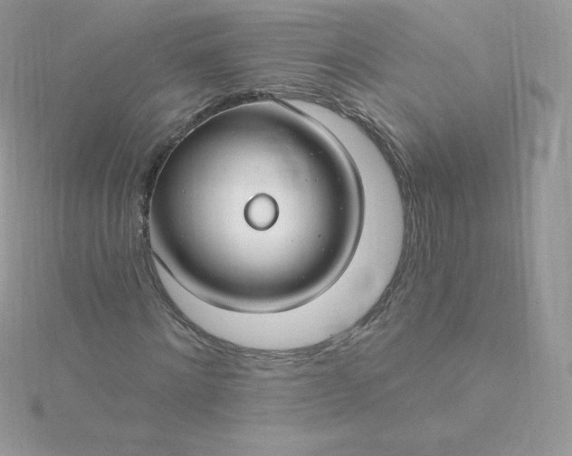 X0000115830868200911271157