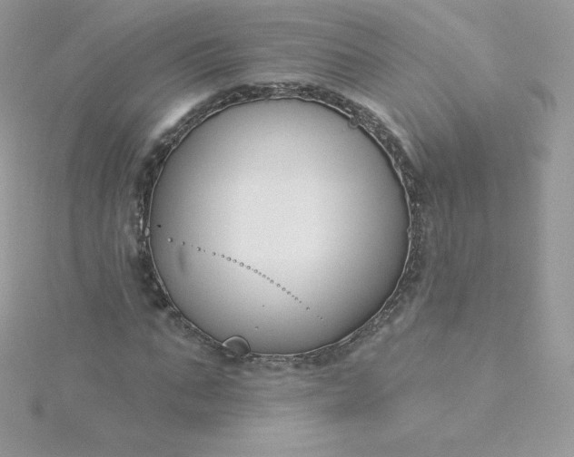 X0000115830871200911271157