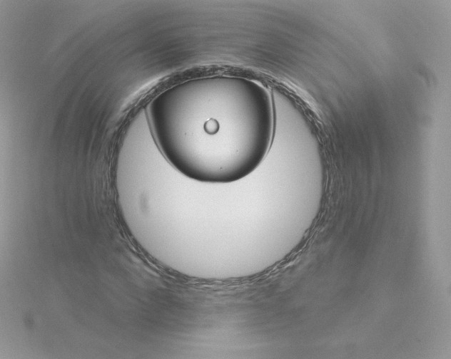 X0000115830872200911271157