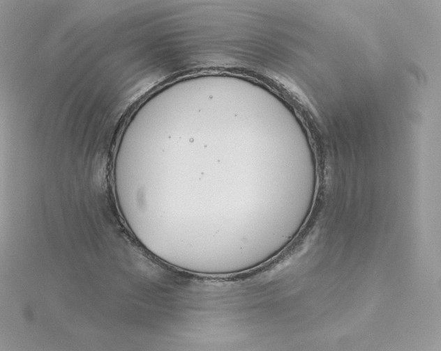 X0000115830873200911271157