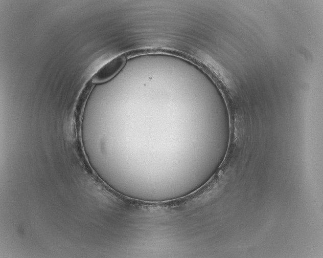 X0000115830876200911271157