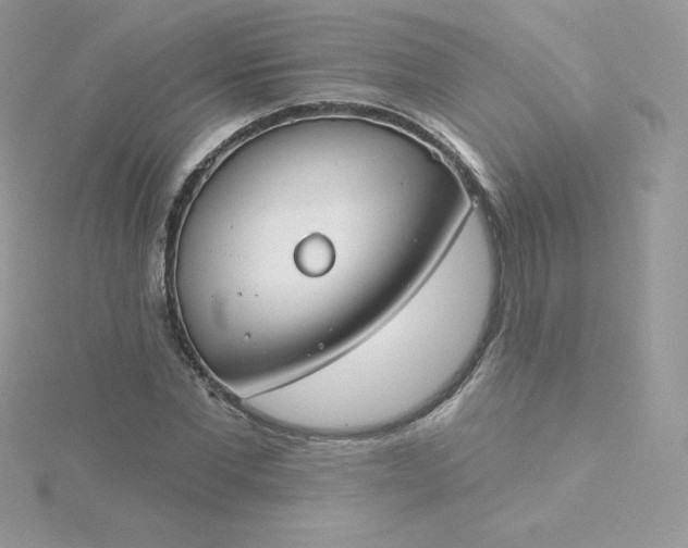 X0000115830877200911271157