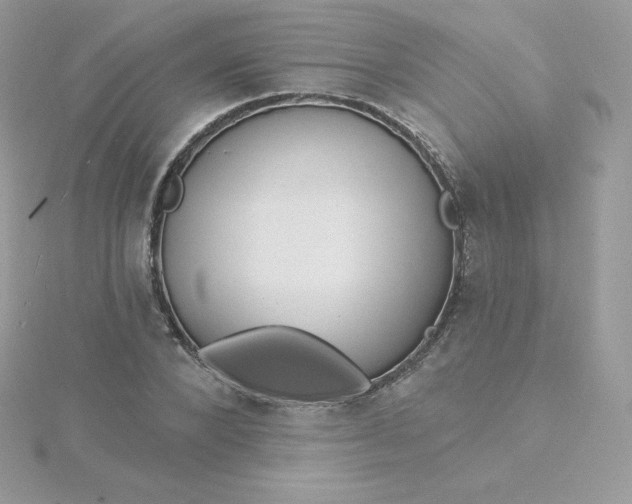 X0000115830880200911271157