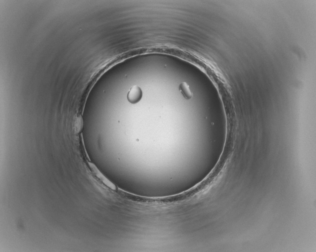 X0000115830881200911271157