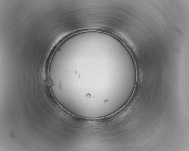 X0000115830883200911271157