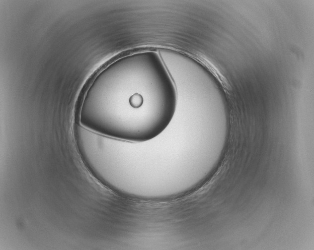 X0000115830884200911271157