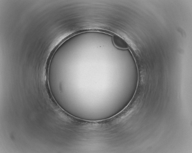 X0000115830885200911271157