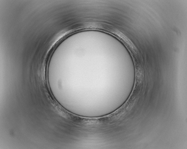 X0000115830886200911271157