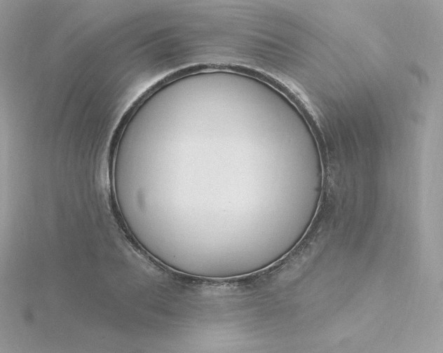 X0000115830887200911271157