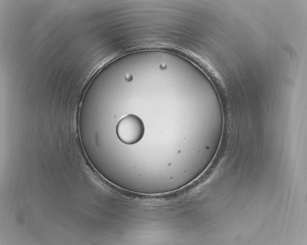 X0000115830889200911271157