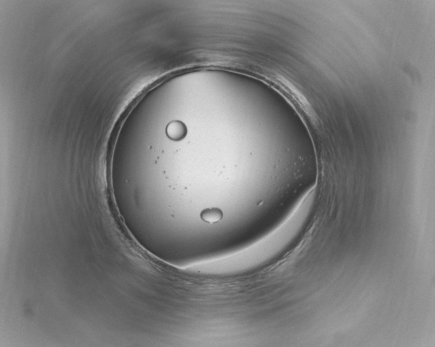 X0000115830891200911271157