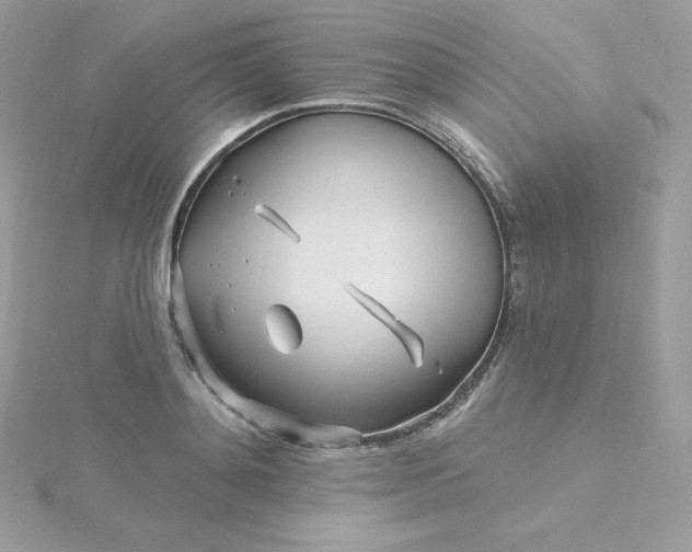 X0000115830892200911271157