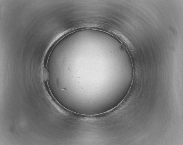 X0000115830894200911271157