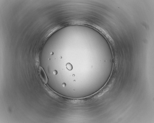 X0000115830897200911271157