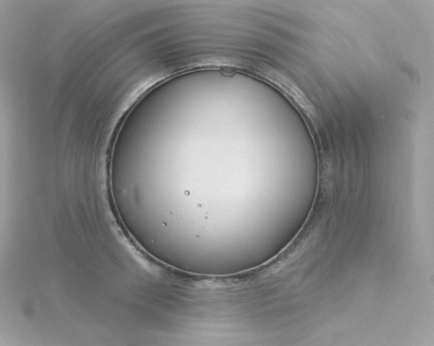 X0000115830898200911271157