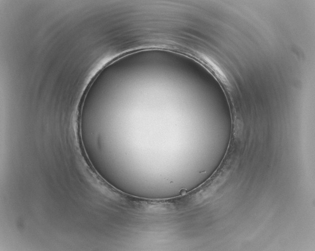 X0000115830899200911271157