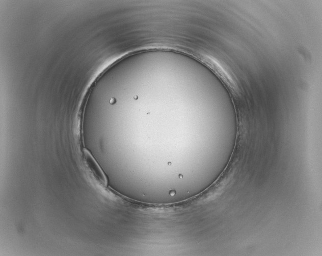 X0000115830900200911271157