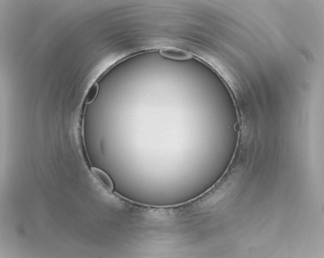 X0000115830901200911271157