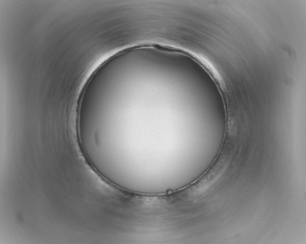 X0000115830903200911271157